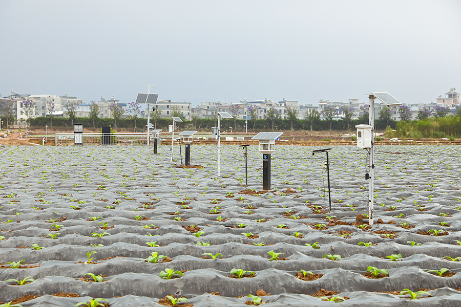 香烟云南的烟最好_云南香烟_香烟云南红云