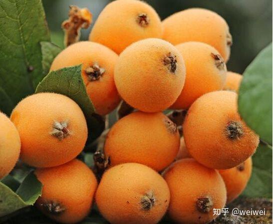 福建云霄县属于哪个市_福建云霄_福建云霄天气