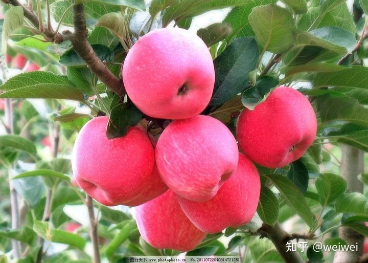 福建云霄县属于哪个市_福建云霄_福建云霄天气