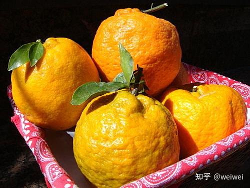 福建云霄天气_福建云霄_福建云霄县属于哪个市