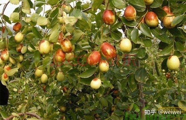 福建云霄县属于哪个市_福建云霄天气_福建云霄