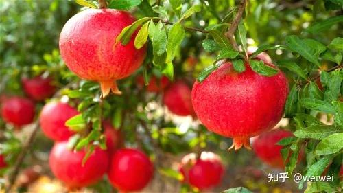 福建云霄_福建云霄县属于哪个市_福建云霄天气