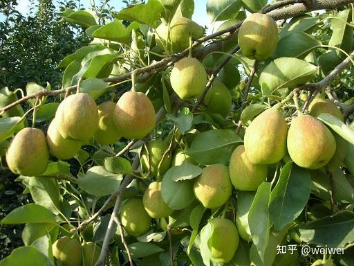 福建云霄天气_福建云霄_福建云霄县属于哪个市