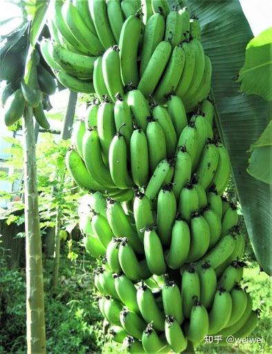 福建云霄天气_福建云霄_福建云霄县属于哪个市