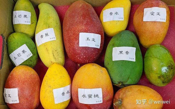 福建云霄县属于哪个市_福建云霄_福建云霄天气