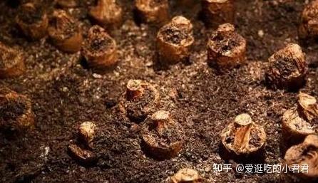 中华香烟假烟是什么样子的_中华假香烟_假中华烟