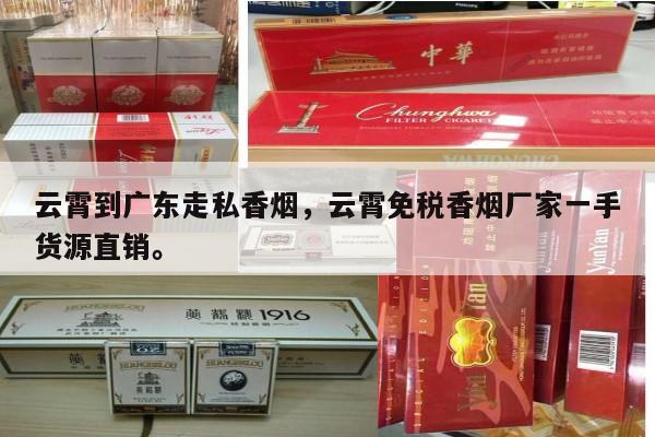 云霄到广东走私香烟，云霄免税香烟厂家一手货源直销。-第2张图片-香烟批发平台