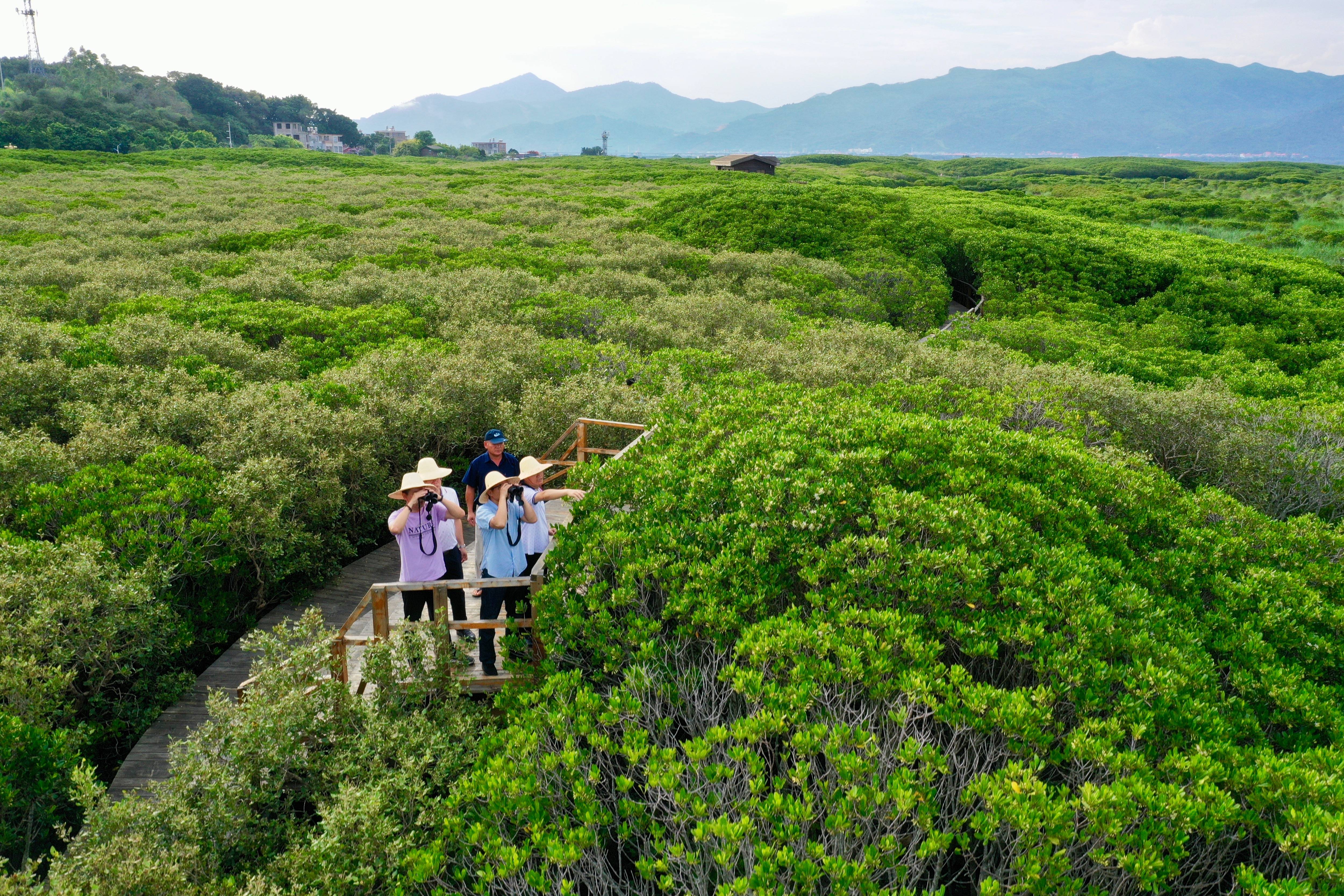 福建中华香烟_福建中华假烟事件始末_中华假烟福建