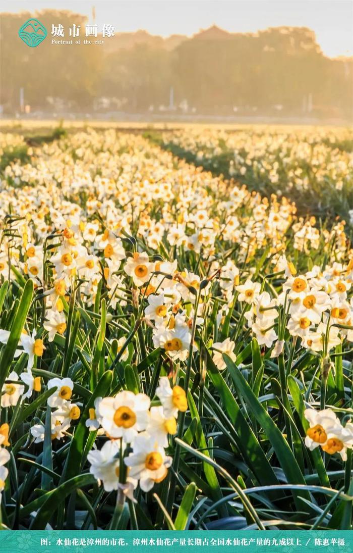 福建云霄假香烟到底能不能抽_福建云霄天气_福建云霄