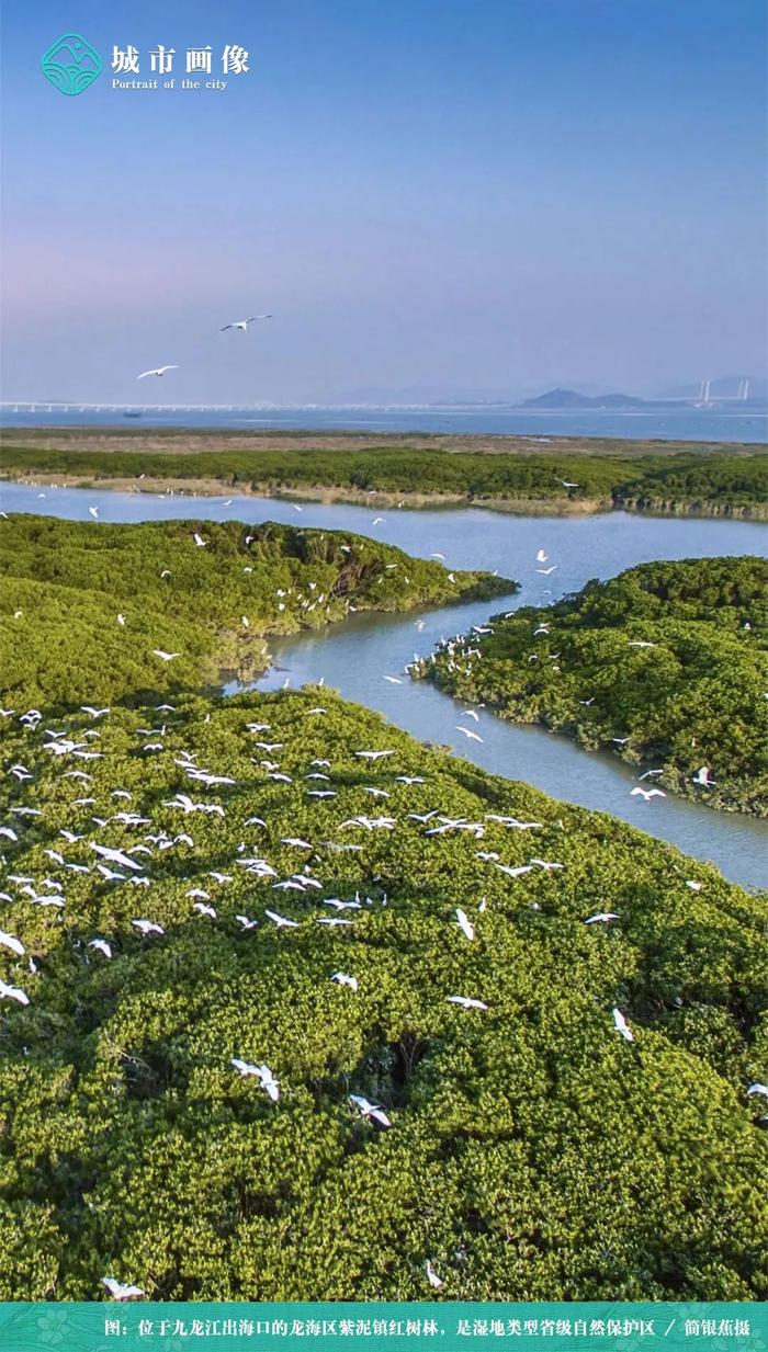 福建云霄天气_福建云霄假香烟到底能不能抽_福建云霄