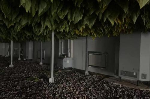 香烟云南印象_云南香烟_香烟云南的烟最好