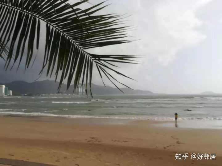 越南烟什么牌子适合中国人吸_越南烟_越南烟是真的假的