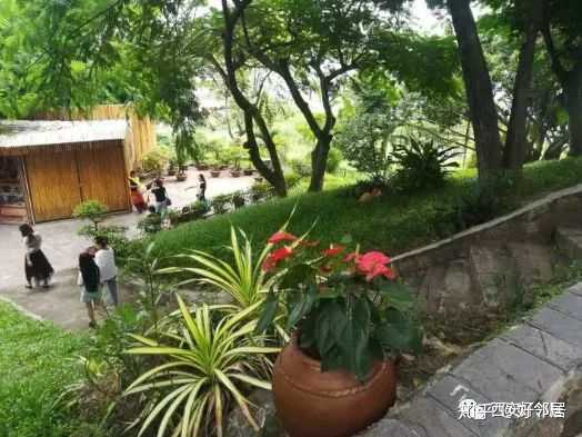 越南烟什么牌子适合中国人吸_越南烟是真的假的_越南烟