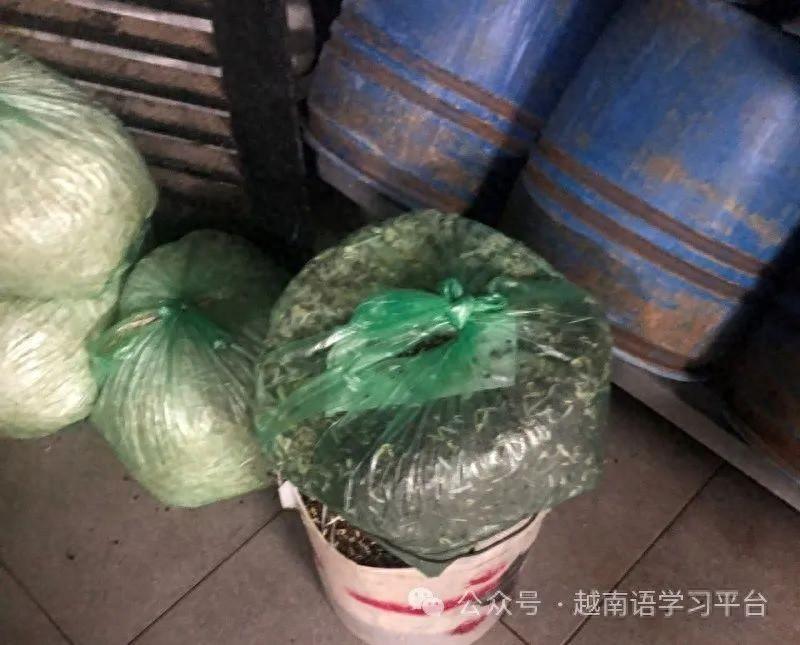 越南烟_越南烟价格一览表_越南烟是真的假的