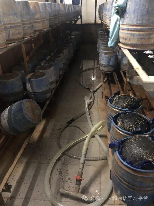 越南烟_越南烟是真的假的_越南烟价格一览表