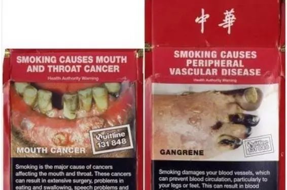 云霄香烟官方网站,云霄香烟，品味非凡，领略烟草新境界！-第9张图片-香烟批发平台