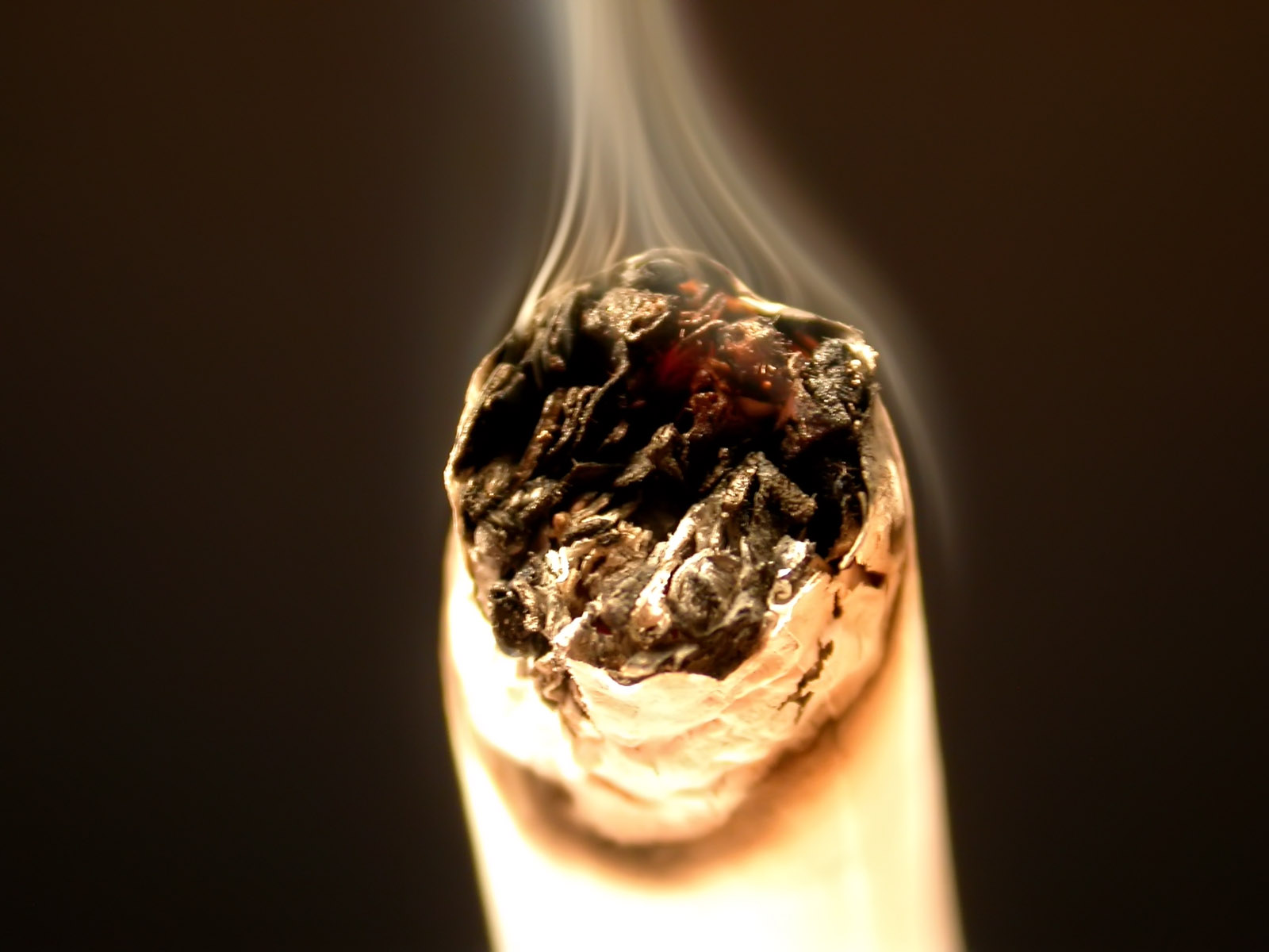 货源网香烟_香烟货源_低价香烟批发一手货源