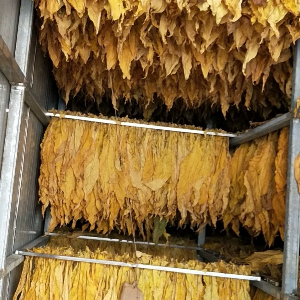 香烟货源_货源网香烟_低价香烟批发一手货源