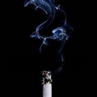 买烟联系方式微信_烟草购买微信_烟商微信