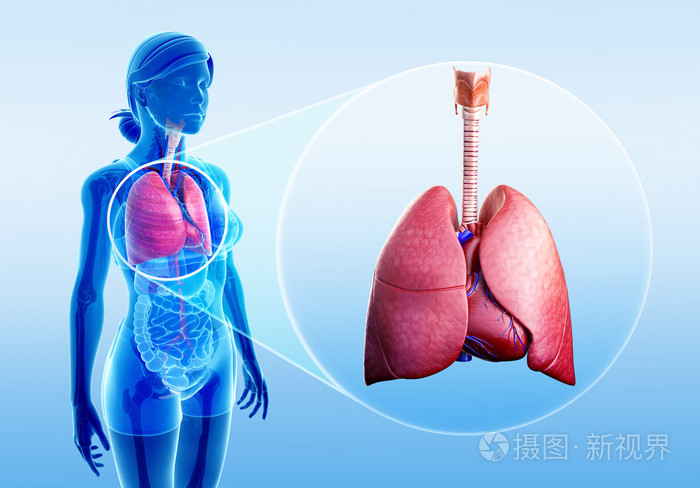 一手货源香烟批发货到付款_香烟一手货源正品批发商_香烟一手货源