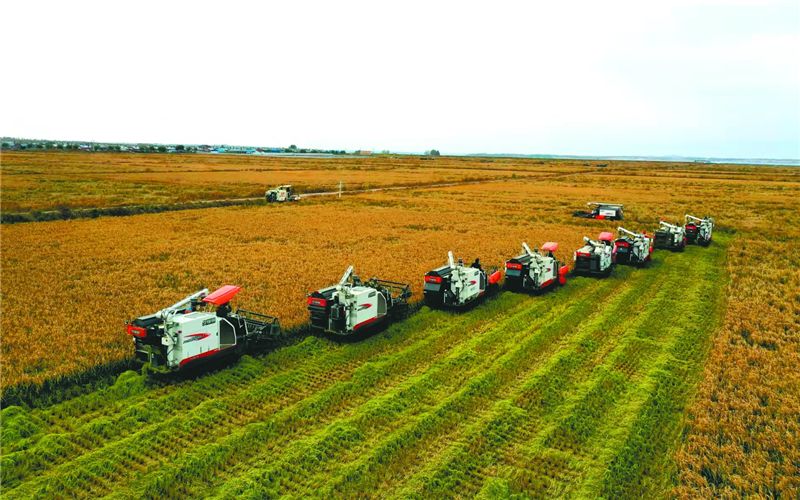 农村发烟_农村让烟的规矩_私自造烟的村子