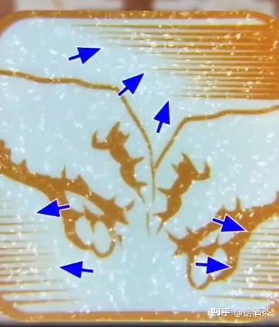 中华假烟多_假中华烟_假烟中华怎么分辨