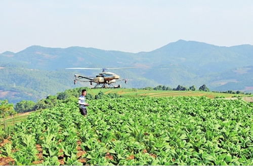 农村发烟_农村让烟的规矩_私自造烟的村子