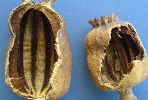 中华香烟假烟是什么样子的_假中华烟_中华假烟多