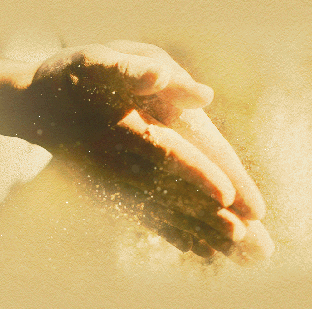 贵州茅台荷花酒价格_贵州茅台镇荷花酒53度价格_贵州茅台镇荷花酒和荷花烟