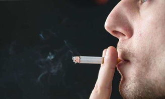 香烟一手_一手香烟批发_一手香烟货源