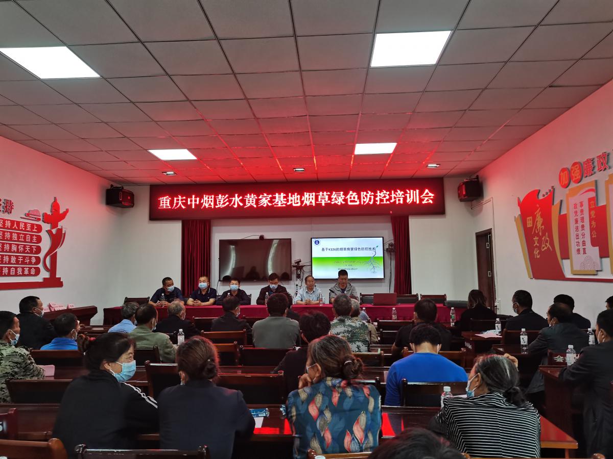 香烟云南的烟最好_香烟云南印象_云南香烟