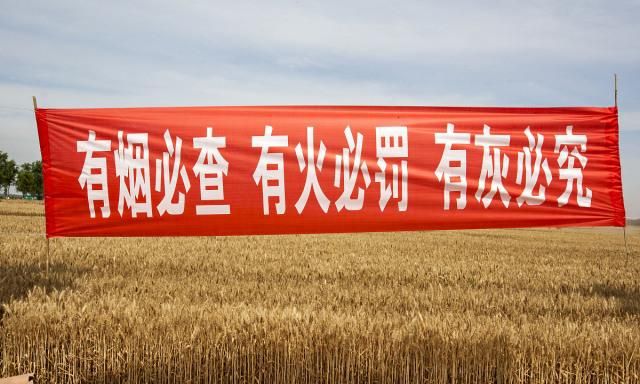 假中华细烟_假中华细支_假细中华多少钱一包