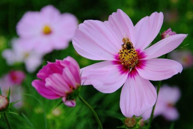 云霄香烟货源_云霄一手货源烟_云霄香烟一手货源厂家直销批发