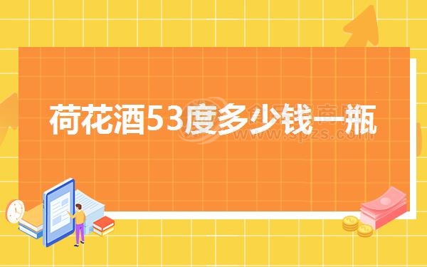 荷花酒53度多少钱一瓶