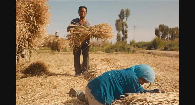 农村让烟的规矩_农村发烟_私自造烟的村子