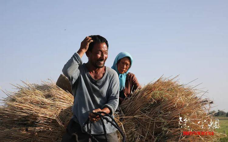 私自造烟的村子_农村让烟的规矩_农村发烟