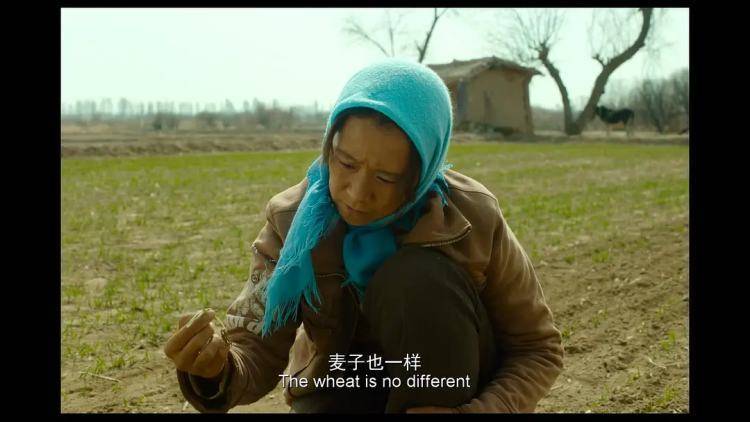 农村让烟的规矩_农村发烟_私自造烟的村子