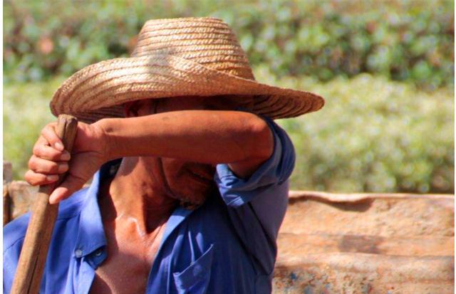 小村子造20年假烟_私自造烟的村子_农村发烟