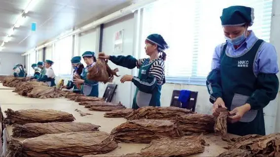 中华香烟假烟是什么样子的_假中华烟_假烟中华怎么分辨