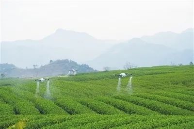 私自造烟的村子_农村发烟_农村让烟的规矩