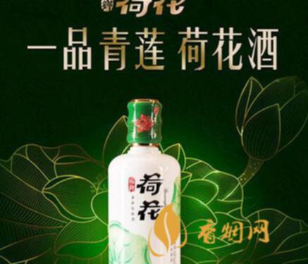 贵州茅台镇荷花酒和荷花烟_贵洲茅台镇荷花酒价格_贵州茅台镇荷花酒53度价格