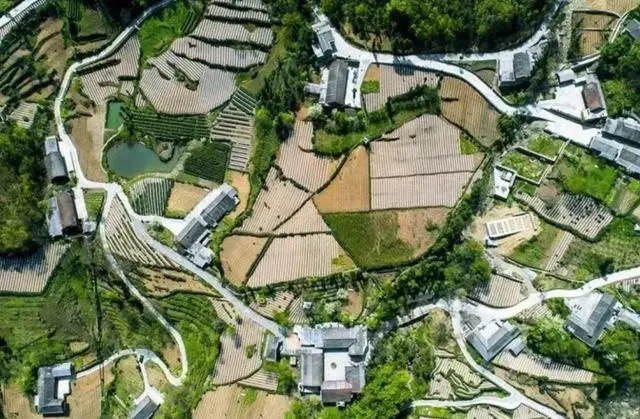 私自造烟的村子_农村让烟的规矩_农村发烟