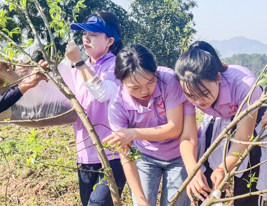 农村让烟的规矩_私自造烟的村子_小村子造20年假烟
