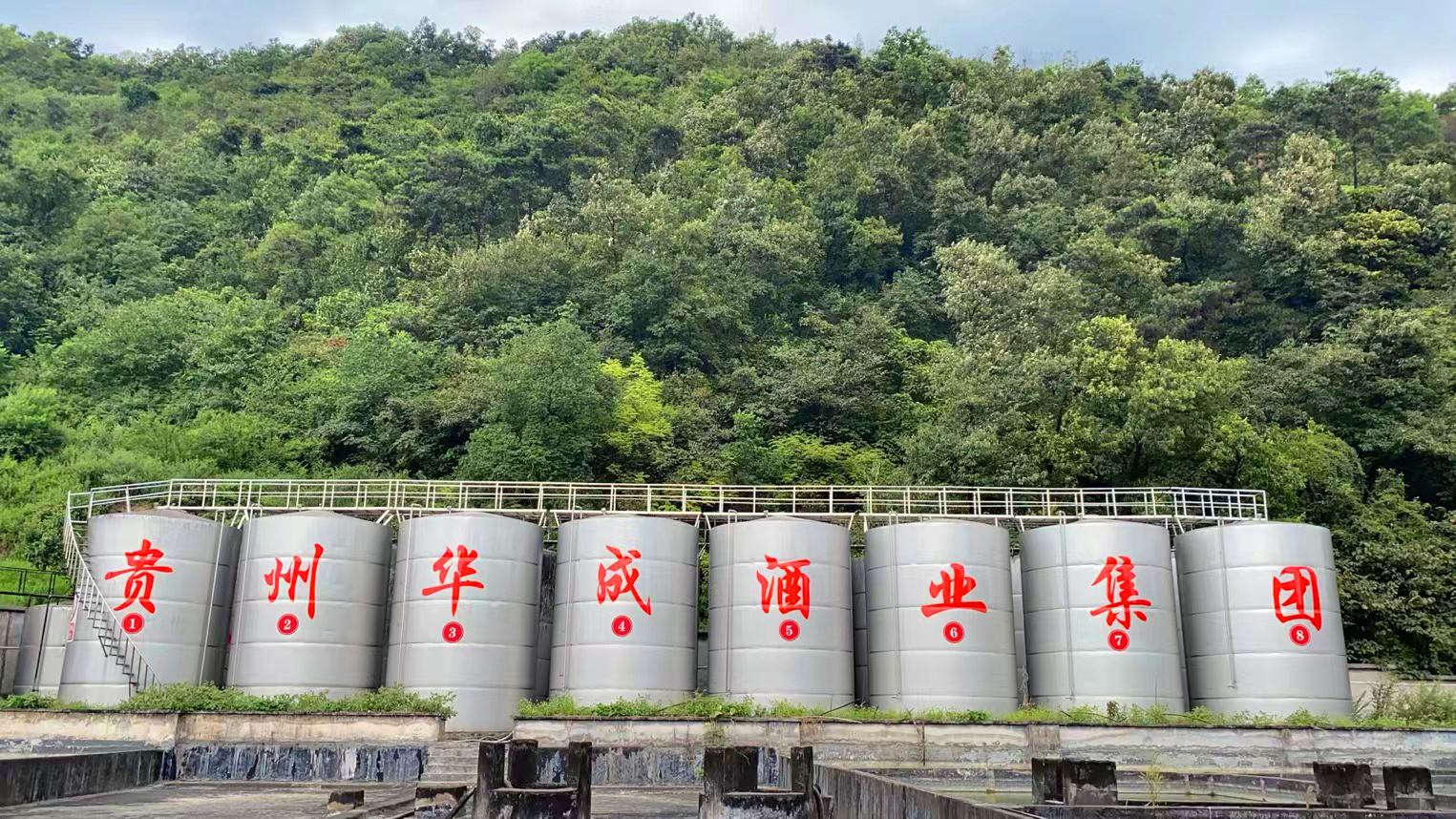 贵州茅台镇荷花酒53度价格_贵州茅台镇荷花酒和荷花烟_贵洲茅台镇荷花酒价格