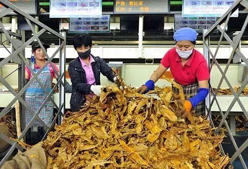 假中华烟_中华香烟假烟是什么样子的_中华假香烟