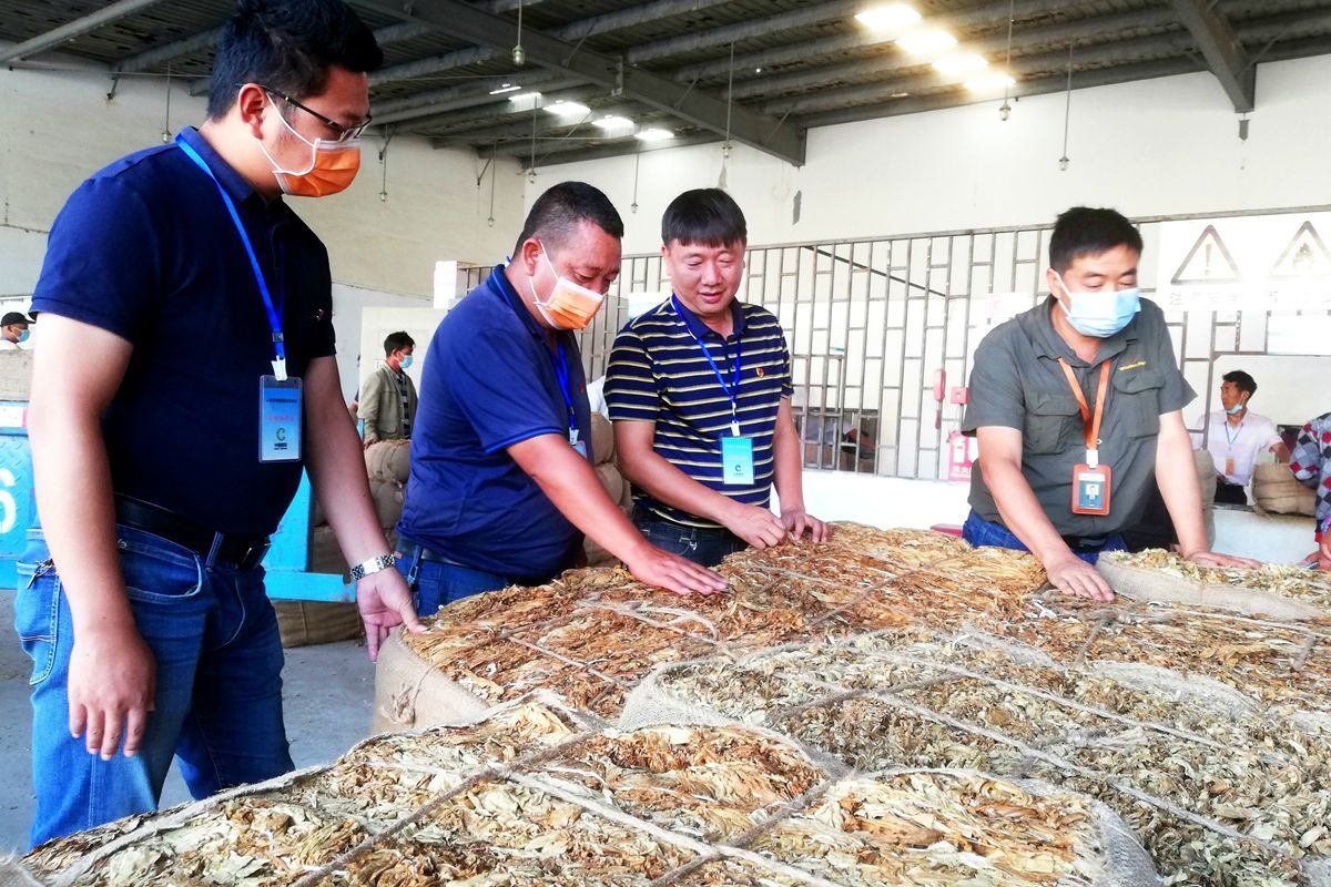 云南香烟_香烟云南流金_香烟云南的烟最好