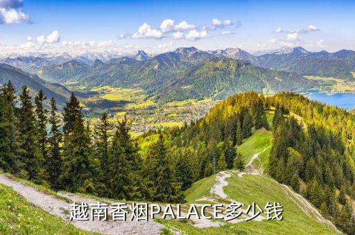 越南香烟PALACE多少钱