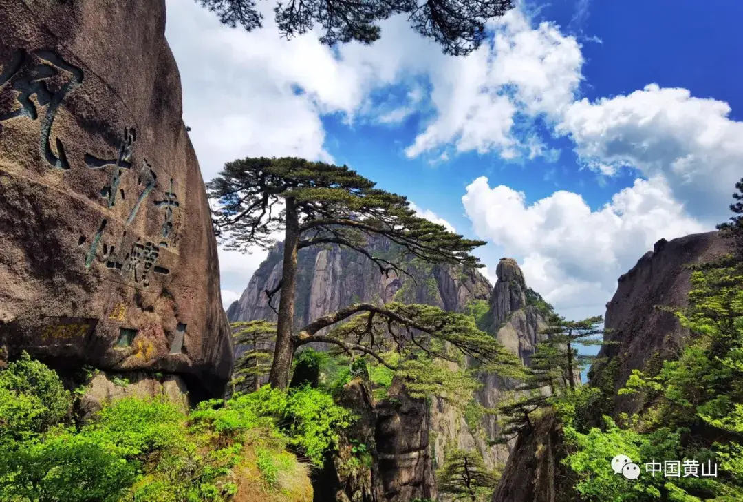 迎客松迎客香烟批发费用 ?迎客松迎客香烟费用 多少?-第4张图片-香烟批发平台