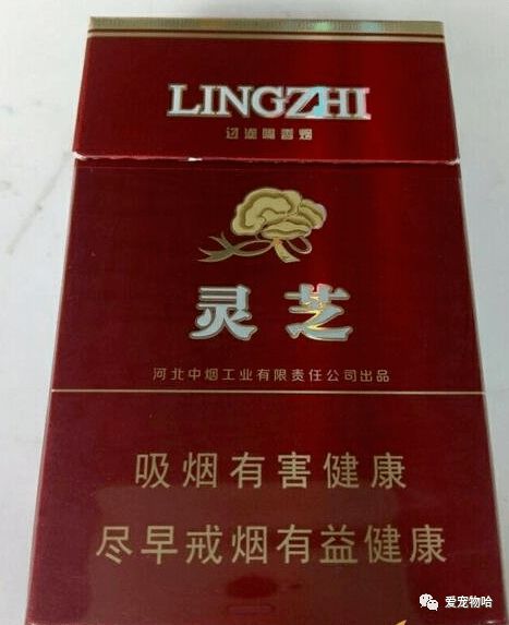 云霄香烟能抽吗现在多少钱一条,云霄香烟:揭秘现状及价格,是否值得一试?-第4张图片-香烟批发平台