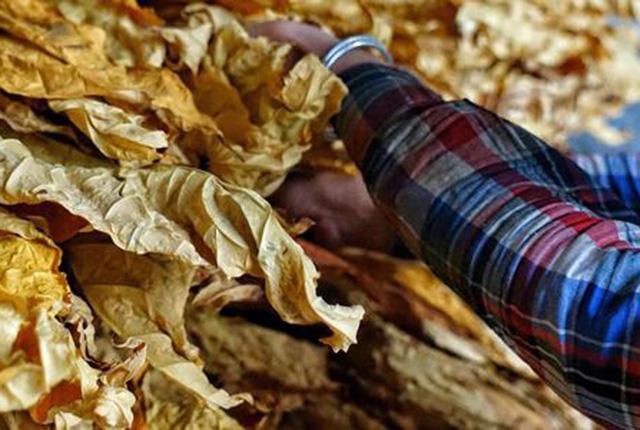 烟中华细支_中华烟_烟中华价格图片及价格